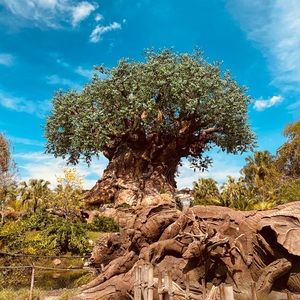 Meet your Posher, Mariam